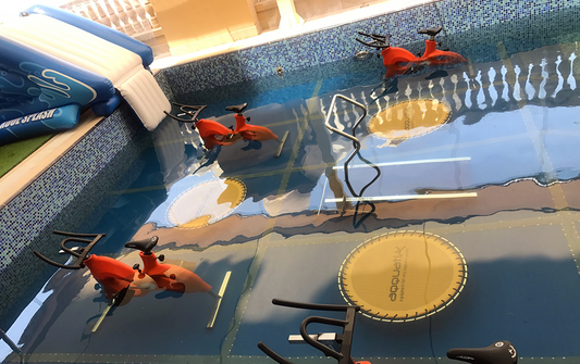 Dubai Youth Fitness Center - actionbasedlearning