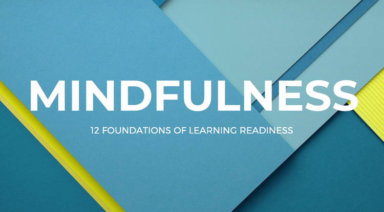 Foundation 12: Self Management | Mindfulness and Self Awareness