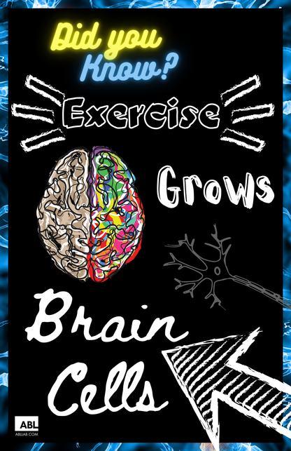 Neuronasium Poster Set - Action Based Learning
