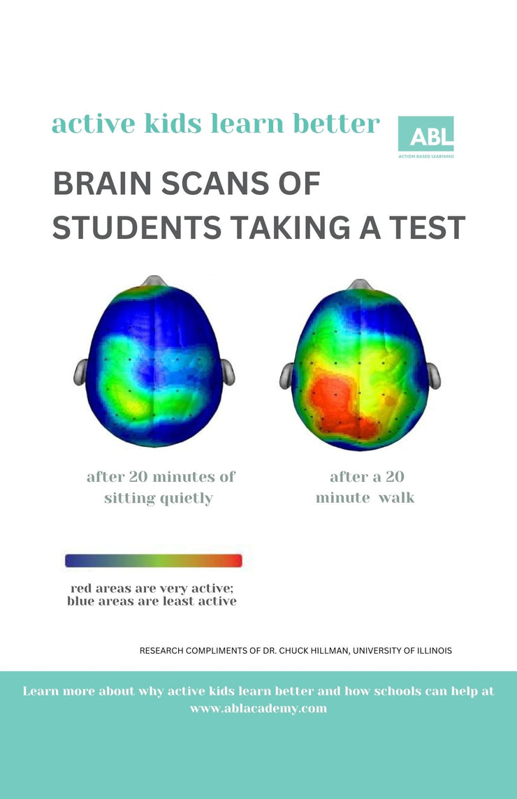 Exercise Grows Brain Cells Poster Set - Action Based Learning