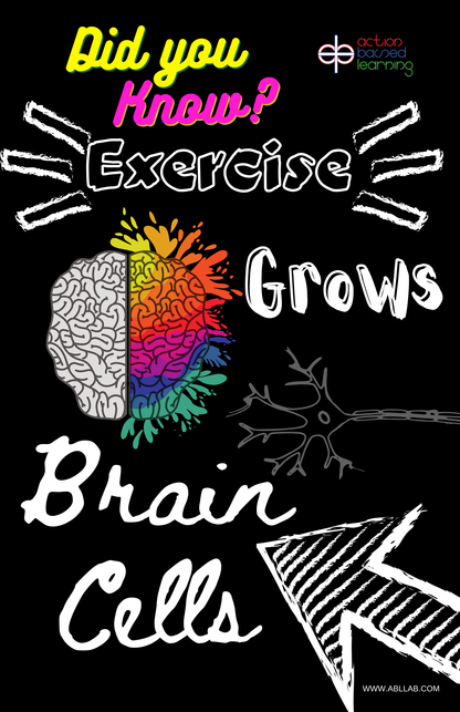 Brain Facts Poster Set - Action Based Learning