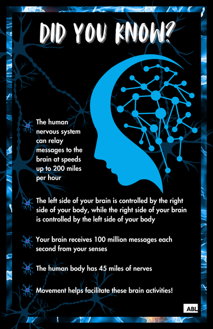 Neuronasium Poster Set - Action Based Learning