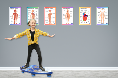 ACTIVE ACADEMICS CHARTS: BODY SYSTEMS - Action Based Learning