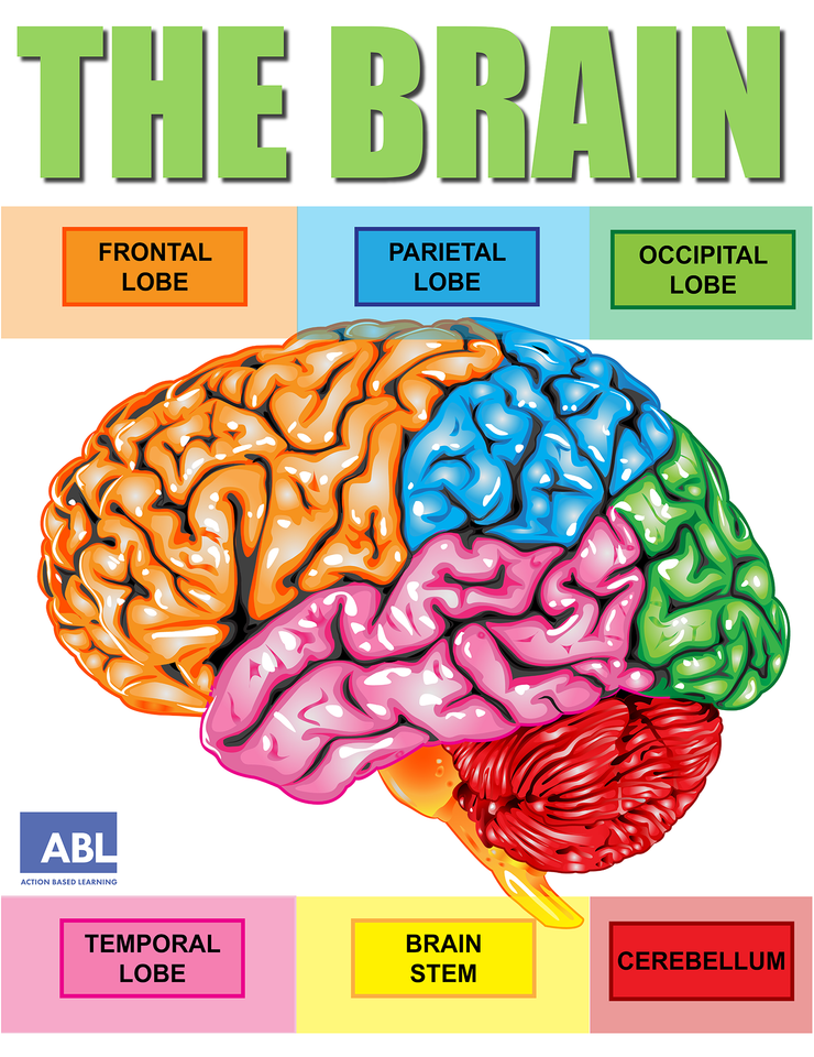 Body Brain Adventure (BBA) Graphics Package - Action Based Learning