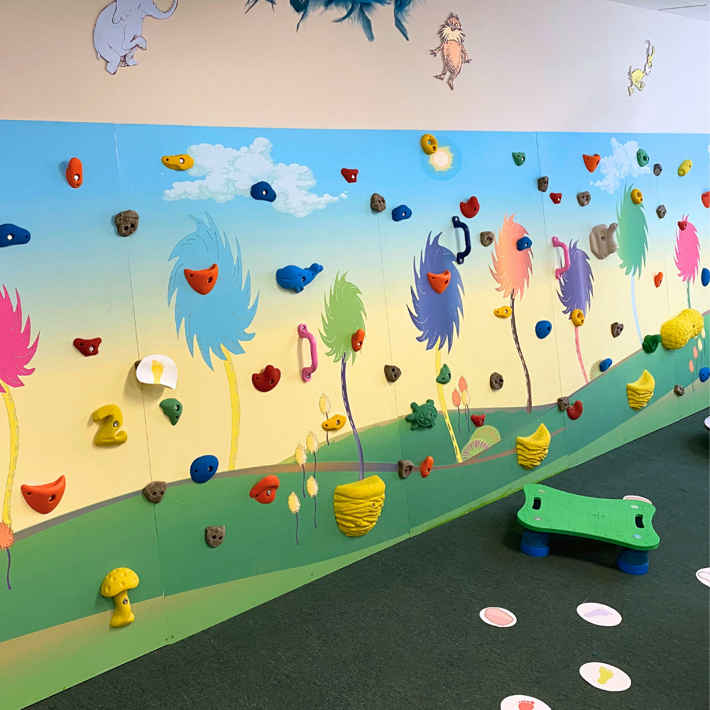 Kids Climbing Wall Panels