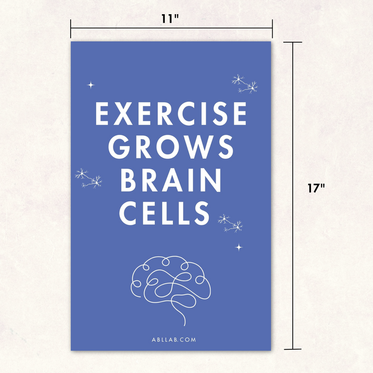 Exercise Grows Brain Cells Poster Set - Action Based Learning