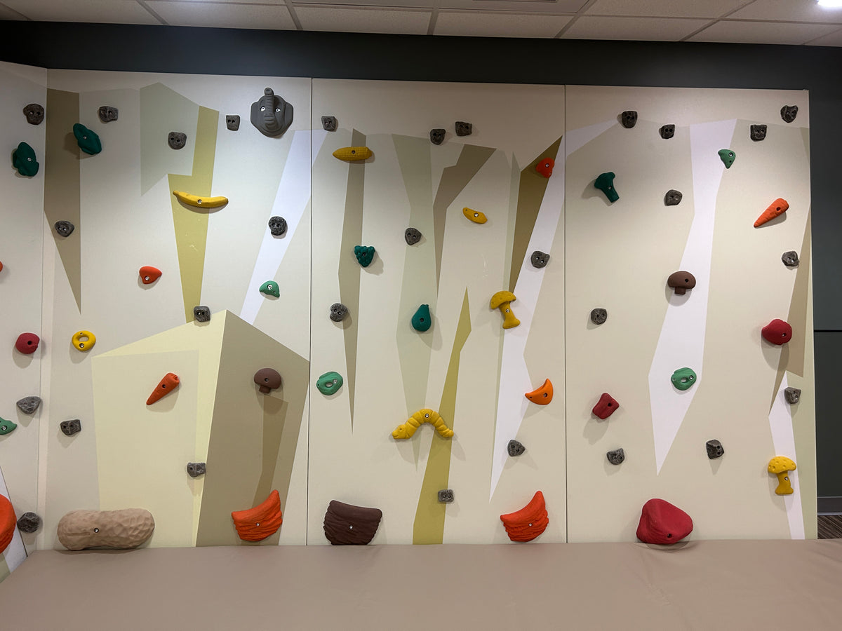 Kids Climbing Wall Panels