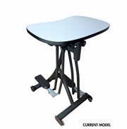 Strider Desks - Action Based Learning