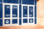 Custom Adhesive Window Graphics - Action Based Learning