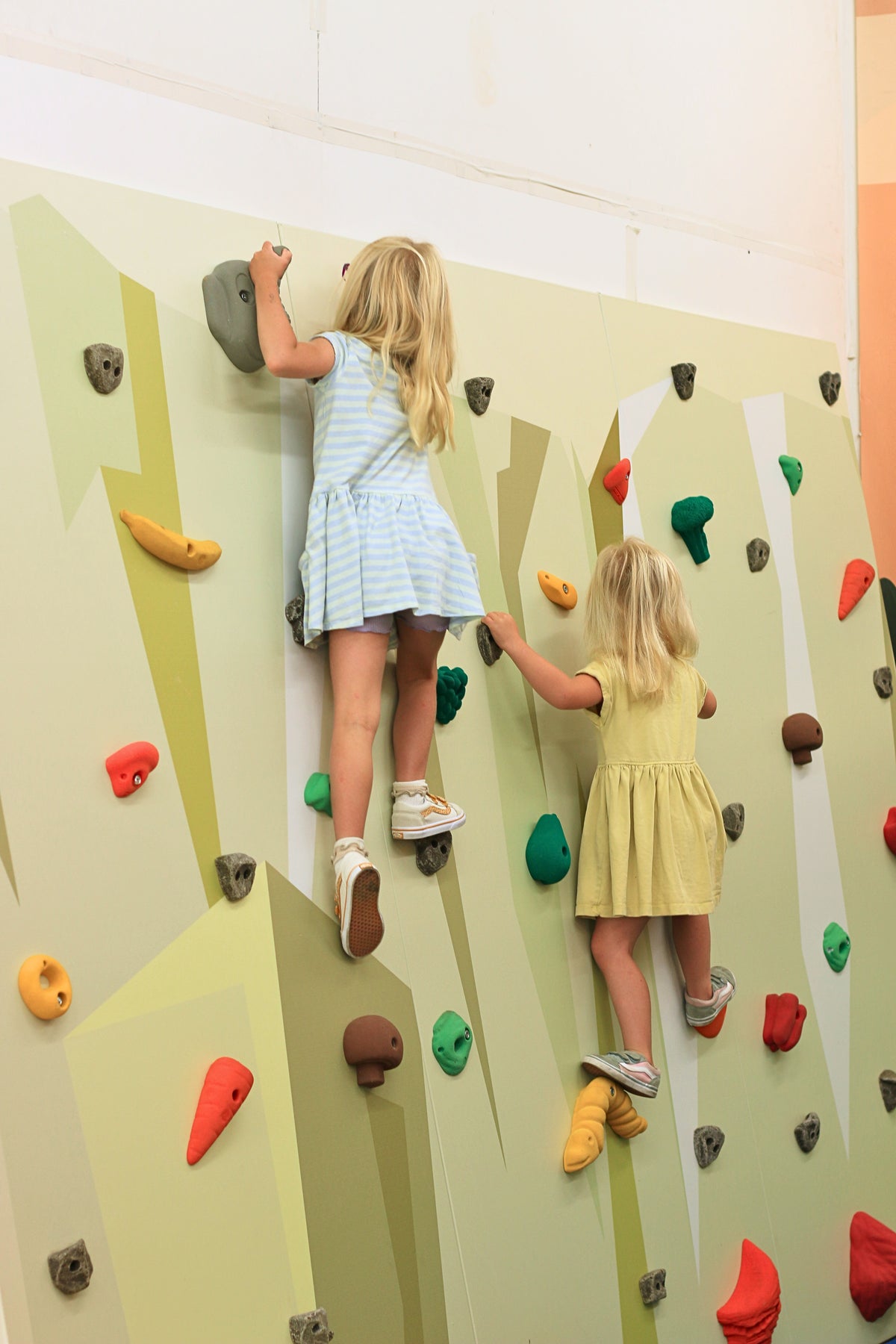 Kinder Early Elementary Climbing Wall