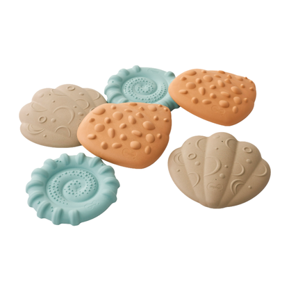 Sensory Stepping Shells