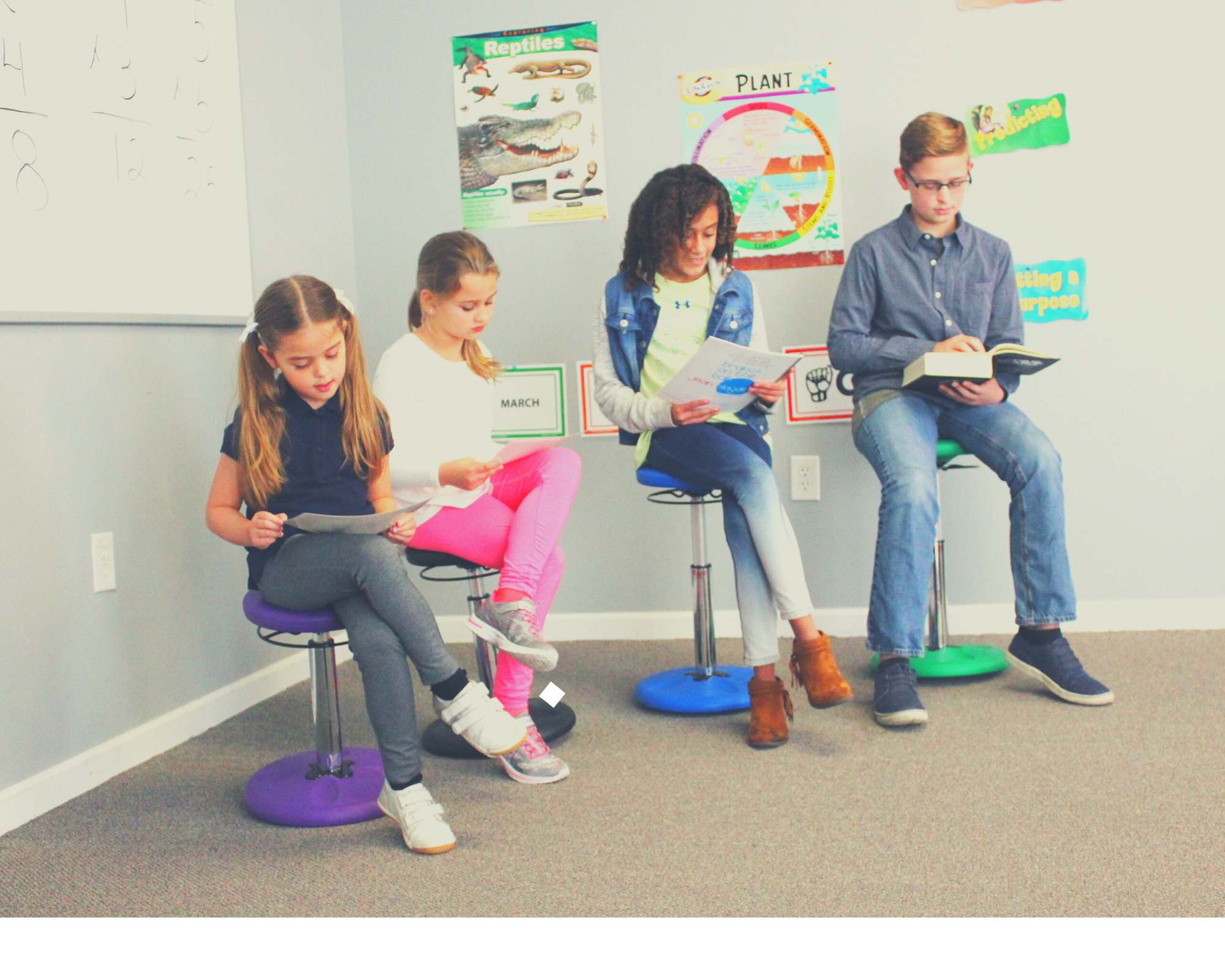 Adjustable Wobble Chairs [ALL AGES] - actionbasedlearning