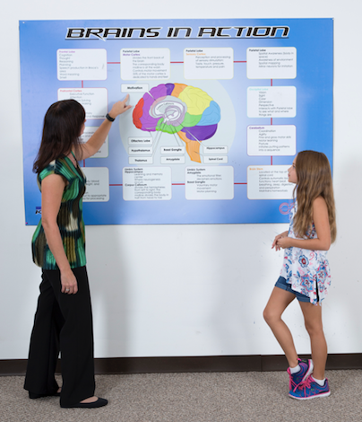 Brainworks Wall Station - actionbasedlearning