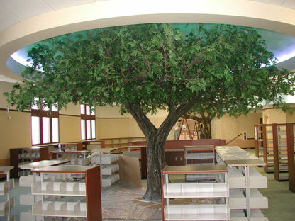 Custom Trees - actionbasedlearning